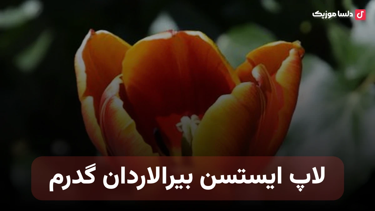 لاپ ایستسن بیرالاردان گدرم شاهین زین العابدین زاده